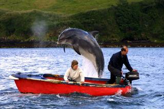 Delfin Fungie będzie mieć własny pomnik. Najstarszy delfin świata uhonorowany