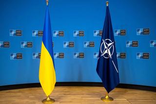 Do NATO Ukraina podąży drogą Szwecji i Finlandii? W Wilnie zdecydują