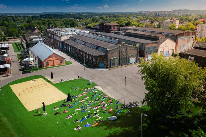 Joga na trawie w Fabryce Pełnej Życia w Dąbrowie Górniczej 