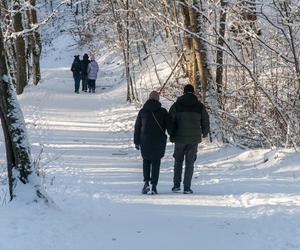 Wiosny nie będzie! Polska w czołówce mroźnych krajów. Pogoda oszalała