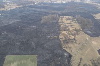 Mazowsze płonie. Ponad 300 pożarów w dwa dni. Strażacy biją na alarm!