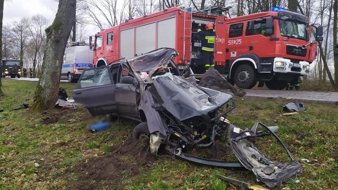 Zjechał z drogi i uderzył w drzewo. MAKABRA! Z samochodu zostało niewiele [ZDJĘCIA]