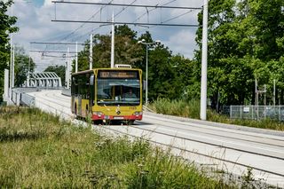 Dzień bez Samochodu 2025 we Wrocławiu. Będzie piknik z atrakcjami 