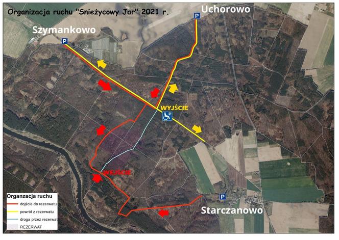 Śnieżycowy Jar 2021 - organizacja ruchu