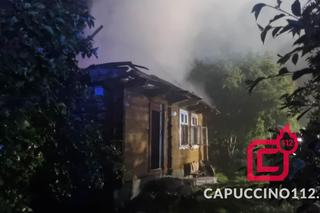 Pożar drewnianego domu pod Brzeskiem. Z ogniem walczyło blisko 30 strażaków