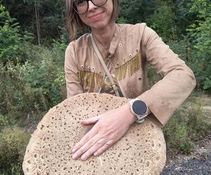 Gigantyczna kania w Łódzkiem