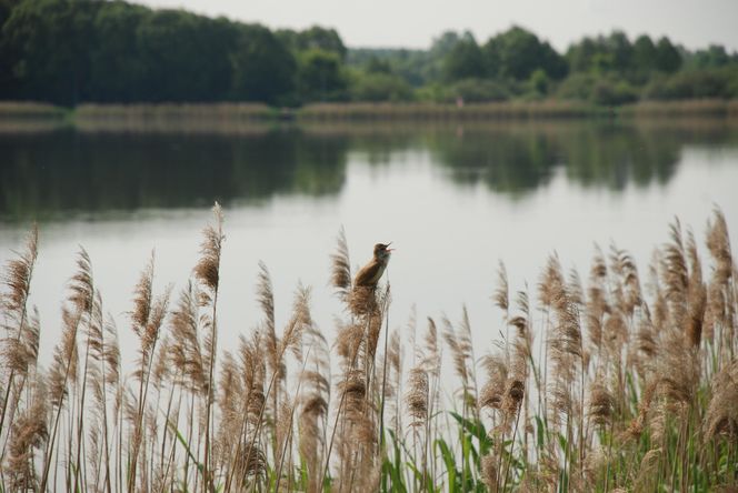 Zawody wędkarskie dla dzieci przyciągnęły w 2025 roku rekordową liczbę 148 uczestników