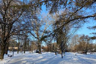 Śnieżna zima w Parku Praskim