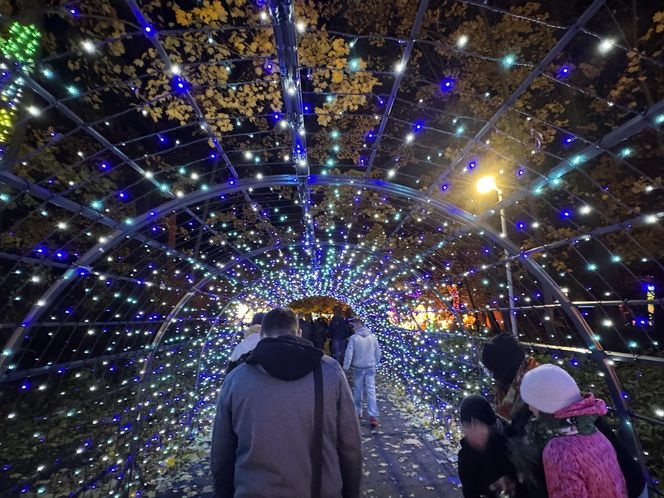 Garden of Lights we Wrocławiu