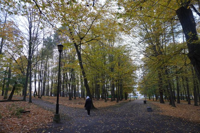 Park Lubomirskich w Białymstoku jesienią 