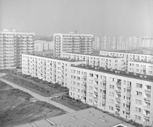 QUIZ PRL. Od dokwaterowań po wielką płytę. Ile wiesz o mieszkaniach w PRL?