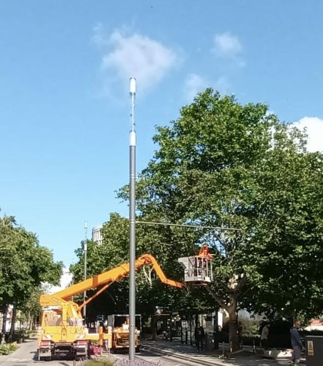 FB/Stowarzyszenie Plac Wolności. Zdj. Maciej Męczyński