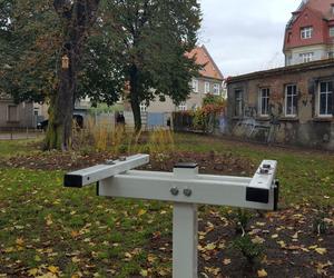 Rośliny posadzone, brakuje tylko kilku elementów. Skwer dr. Kuźniaka w Lesznie prawie gotowy