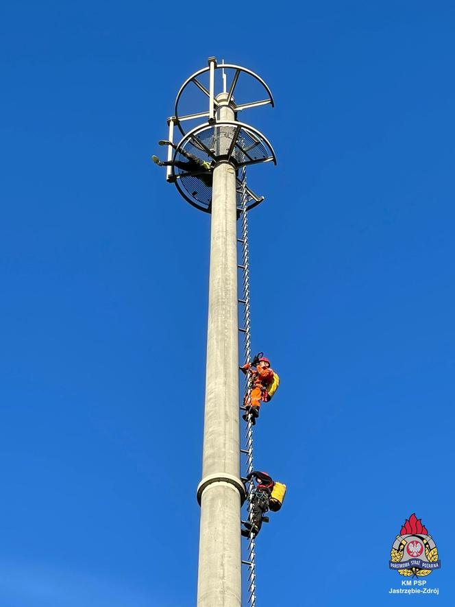 Mężczyzna wszedł na 47-metrową wieżę telefoniczną. Dramatyczna akcja ratunkowa strażaków