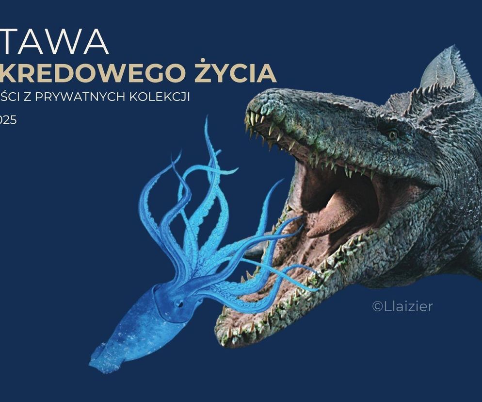  „Echa kredowego życia” - plakat wystawy 