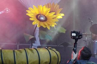 NEXT FEST Music Showcase & Conference 2024