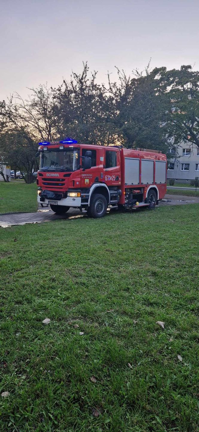 Pożar mieszkania przy ul. Kalinowej w Zabrzu