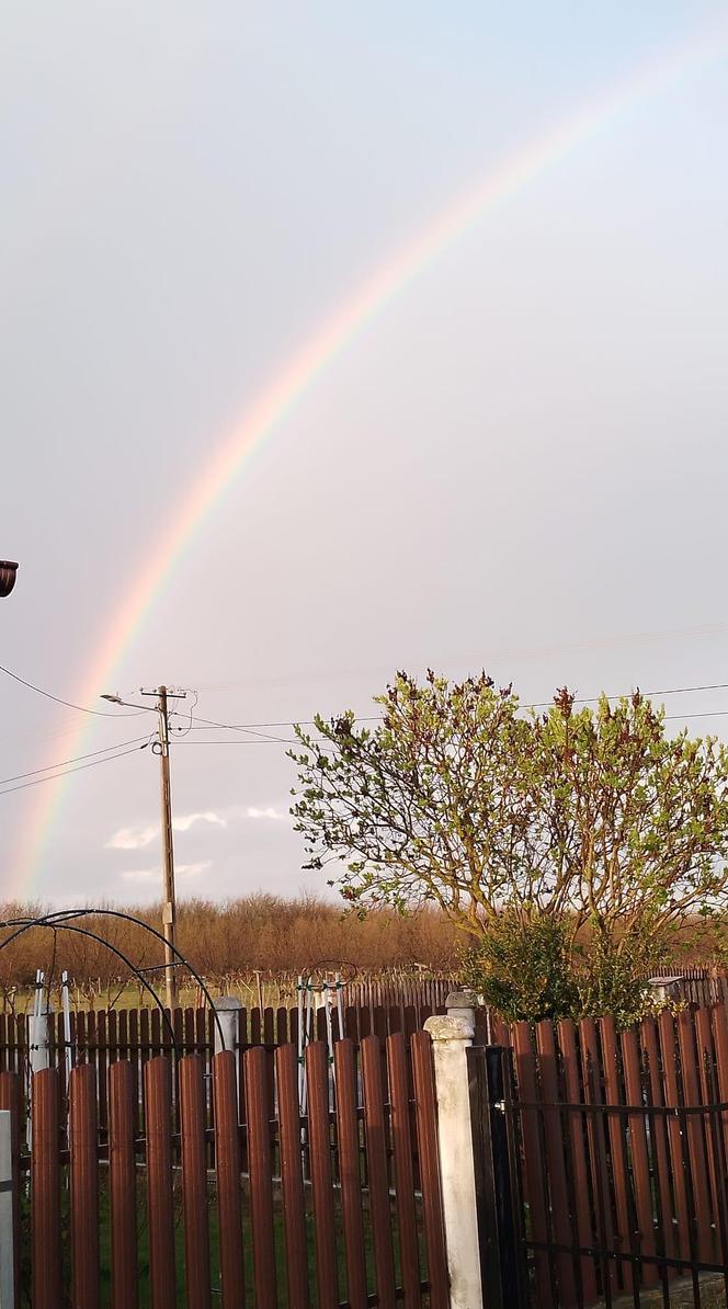 Światowy Dzień Fotografii. Z tych fotek są dumni nasi Czytelnicy! ZOBACZ