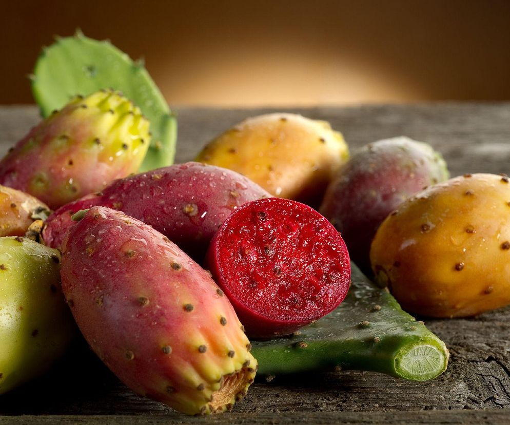 Figa kaktusowa, czyli opuncja jadalna: co warto wiedzieć o tym owocu? [WIDEO]