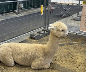 ZooPark w Lublinie. Dzień drugi