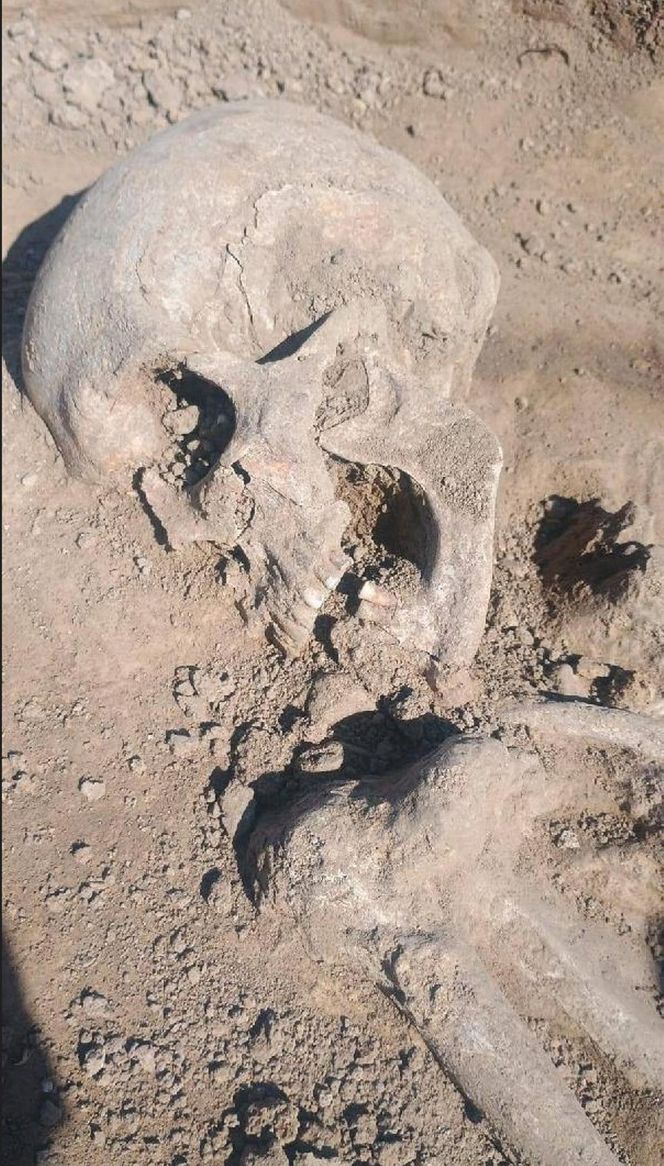 Niezwykłe znalezisko w Orłach. 