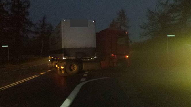 Śmiertelny wypadek na DK94 w Wielkiej Wsi [ZDJĘCIA]