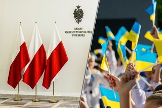 Senat: PiS zaostrza ustawę o pomocy Ukraińcom. Nowe warunki pobytu i świadczeń