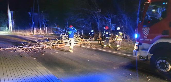 Wichury na Dolnym Śląsku