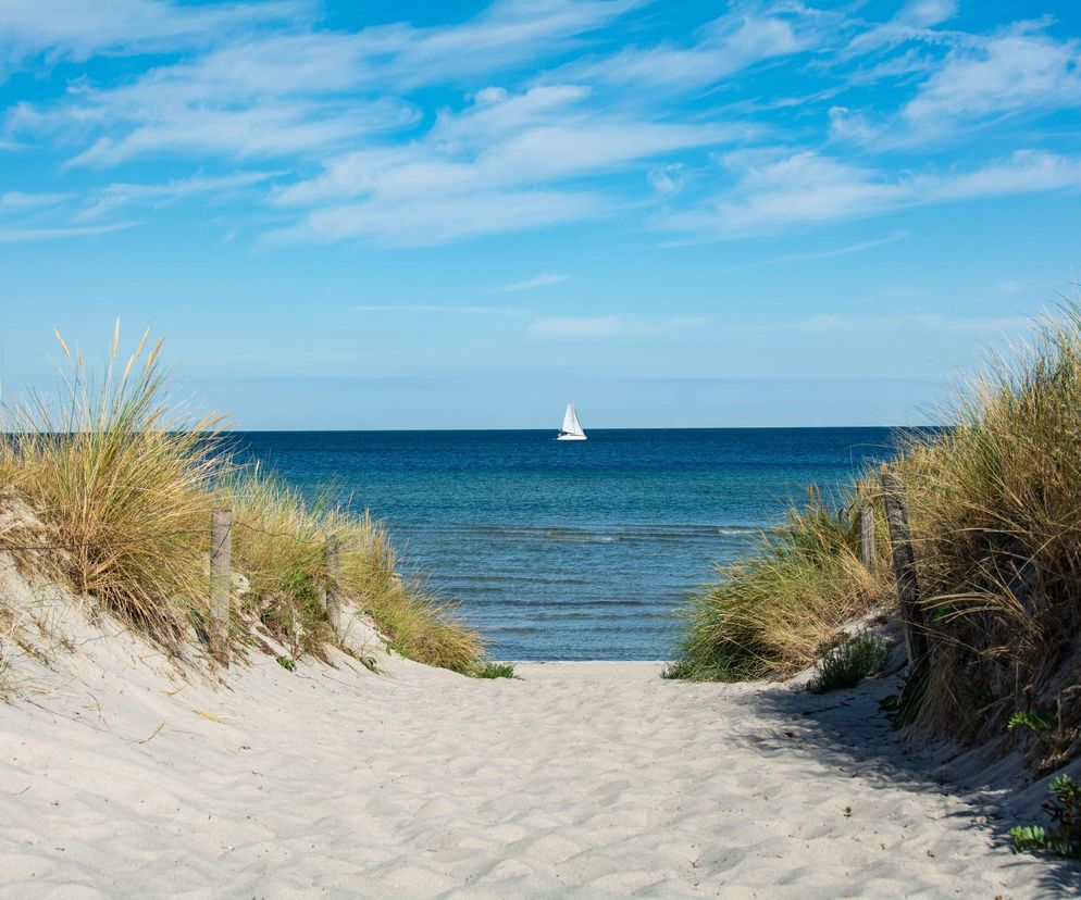 Sinice nad morzem 2025. Lista zamkniętych kąpielisk opublikowana przez GIS