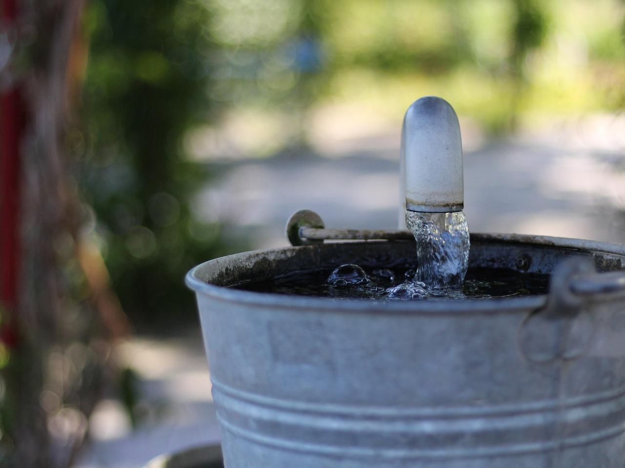 Ogrody wodne, stawy oraz odkopanie cieków wodnych: w Poznaniu poprawi się retencja wody!