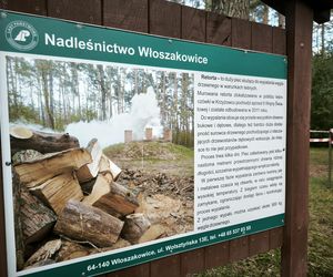 Dzień Smolarza