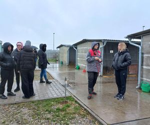 Bieg z seniorkiem - akcja schroniska w Hnerykowie dla podopiecznych psów