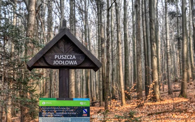 Krajobrazy Gór Świętokrzyskich