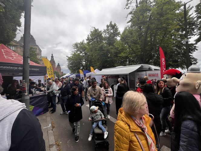 Piknik nad Odrą 2024 Szczecin 