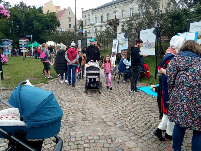 Przegląd Organizacji Pozarządowych z Grudziądza