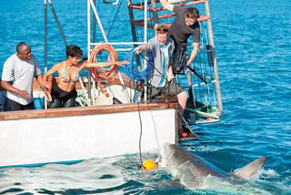 Halle Berry - rekin poleciał na jej cycki