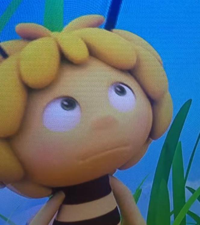 Pszczółka Maja z penisem. Ogromna wpadka w popularnej kreskówce [VIDEO]