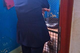 Pseudohodowla w Kołobrzegu