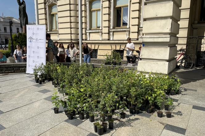 Młodzieżowa Rada Miasta rozdała sadzonki drzew