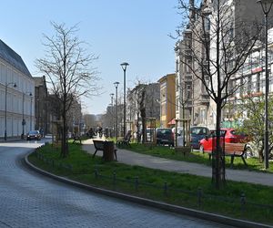 Rewitalizacja Dolnego Miasta i Starego Przedmieścia