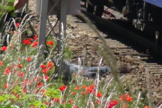 Tragedia na moście Gdańskim! Pieszy wpadł pod pociąg, nie było szans na ratunek