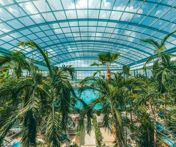 Wrzuć na luz pod palmami i baw się razem z naszą ekipą w Suntago!