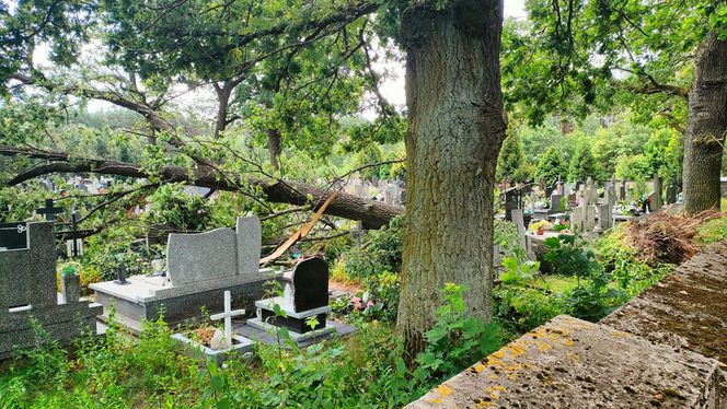 Burze nad województwem łódzkim. Strażacy interweniowali blisko 240 razy