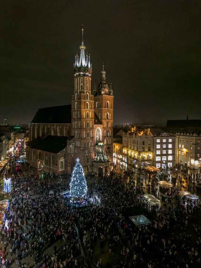 Najpiękniejsza choinka na świecie znajduje się w Polsce! Gdzie ją zobaczyć? 