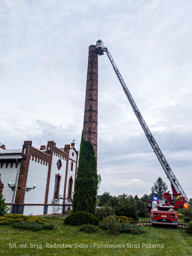 Bocian wpadł do 24-metrowego komina. Strażacy ratowali go 3 godziny [ZDJĘCIA]. 