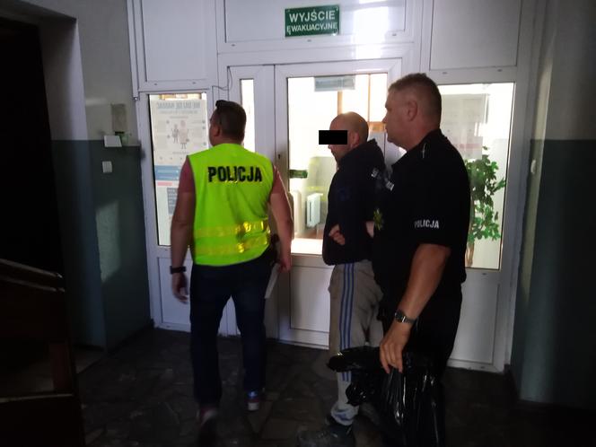 Ogromna plantacja marihuany w regionie! Policjanci zabezpieczyli ponad 430 krzewów [ZDJĘCIA]