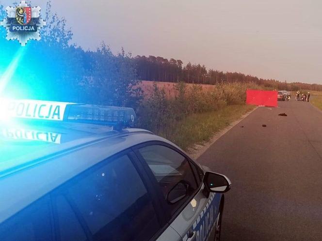 Rowerzysta zginął w czołówce z samochodem