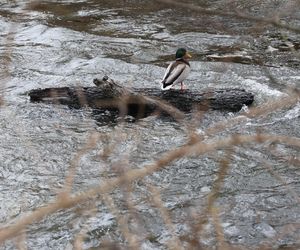 Park Nadrzeczny w Lublinie. W dolinie Bystrzycy może powstać nowe miejsce rekreacji. Jak ten teren wygląda dziś? ZDJĘCIA