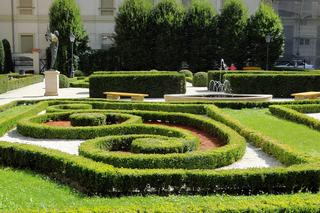 Ogród Barokowy przy Ossolineum. Piękno i spokój [ZDJĘCIE]