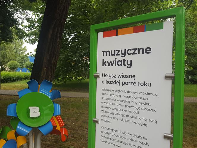 Leszno ma wyspę! W parku przy ul. Berwińskich powstała Wyspa Naukowa